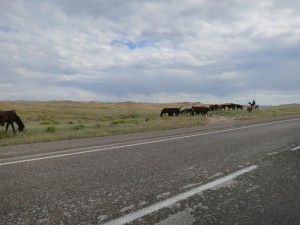 Herding horses en route to Almaty